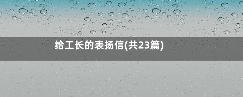 给工长的表扬信(共23篇)