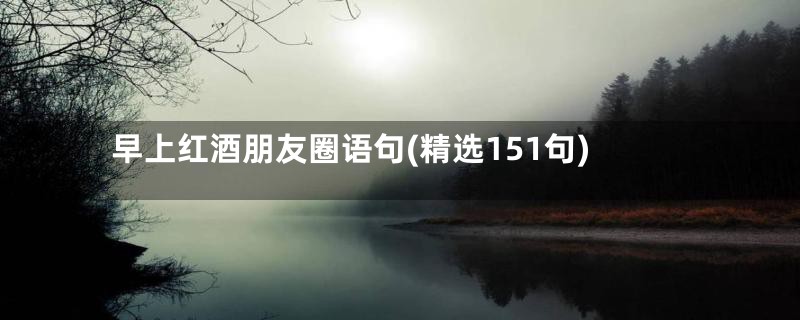 早上红酒朋友圈语句(精选151句)