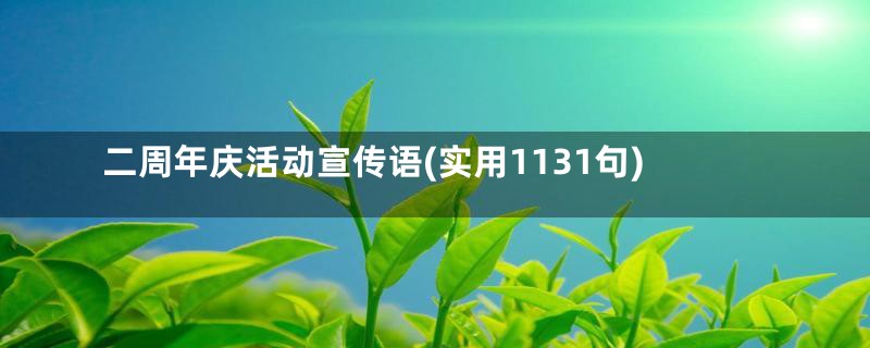 二周年庆活动宣传语(实用1131句)