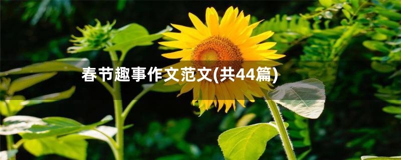 春节趣事作文范文(共44篇)