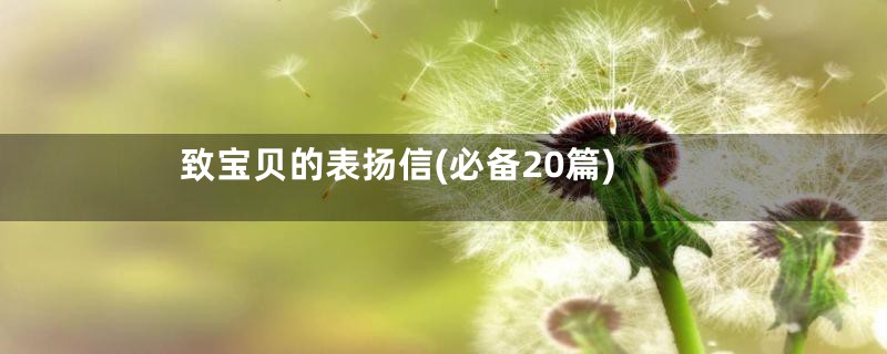 致宝贝的表扬信(必备20篇)