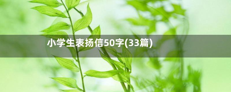 小学生表扬信50字(33篇)