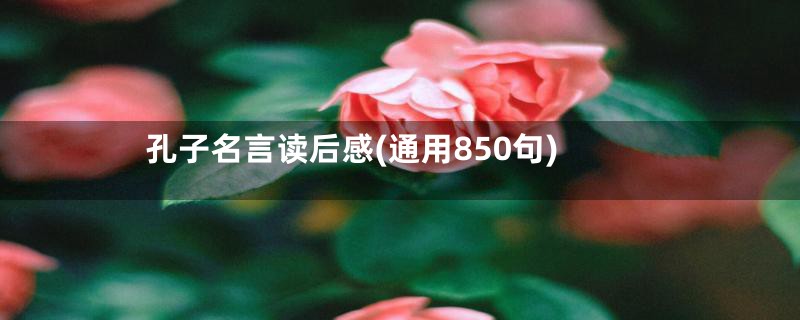 孔子名言读后感(通用850句)