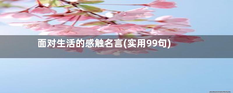 面对生活的感触名言(实用99句)