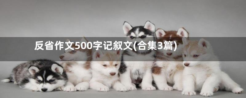 反省作文500字记叙文(合集3篇)