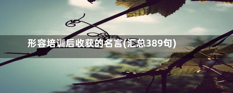 形容培训后收获的名言(汇总389句)