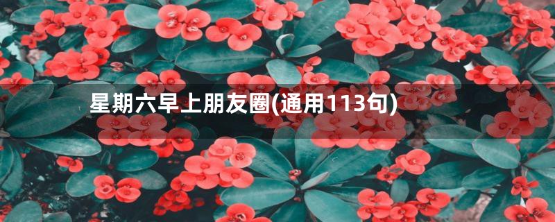 星期六早上朋友圈(通用113句)