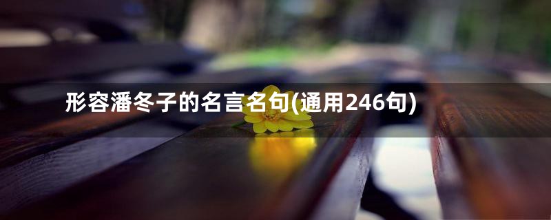 形容潘冬子的名言名句(通用246句)