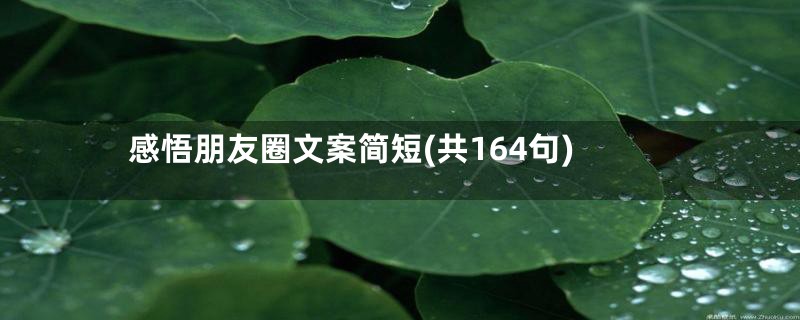 感悟朋友圈文案简短(共164句)