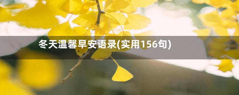 冬天温馨早安语录(实用156句)