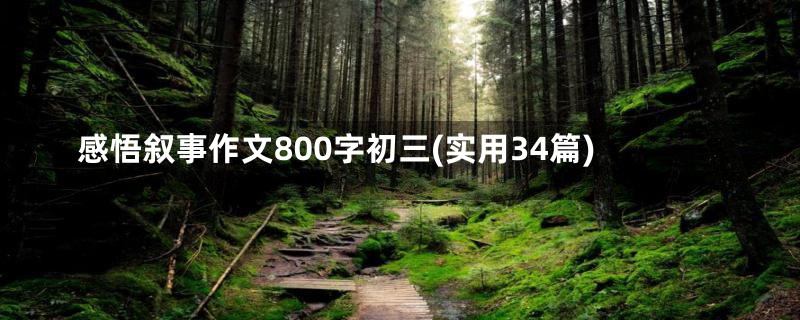 感悟叙事作文800字初三(实用34篇)