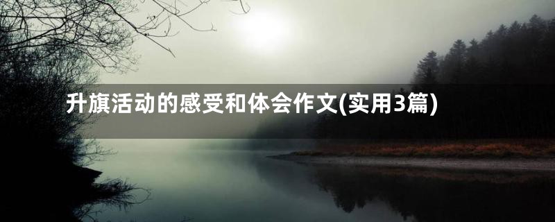 升旗活动的感受和体会作文(实用3篇)