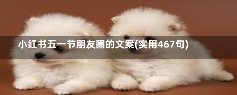 小红书五一节朋友圈的文案(实用467句)