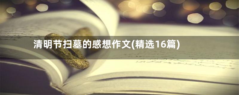 清明节扫墓的感想作文(精选16篇)