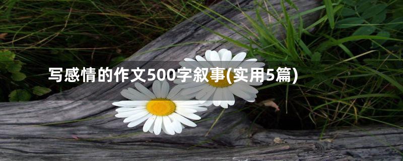 写感情的作文500字叙事(实用5篇)