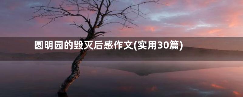 圆明园的毁灭后感作文(实用30篇)