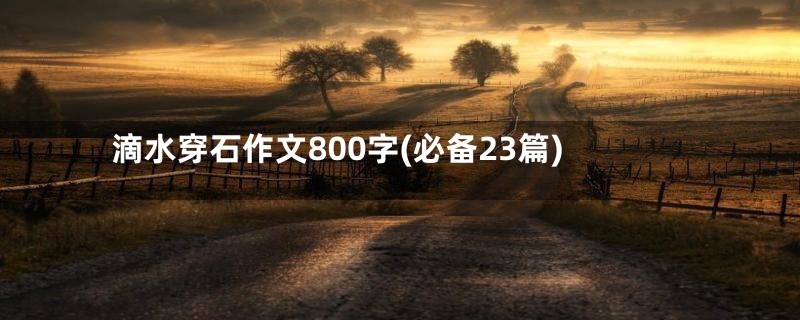 滴水穿石作文800字(必备23篇)