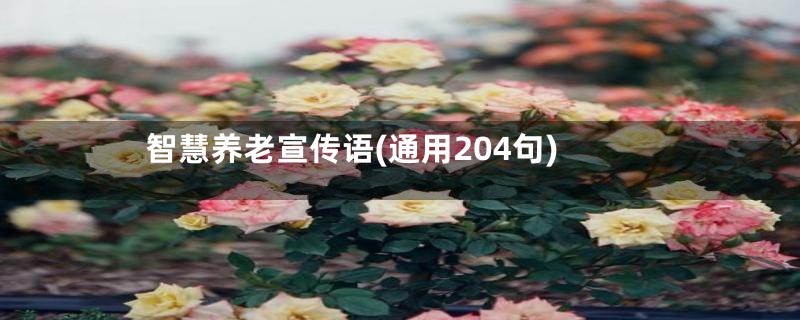 智慧养老宣传语(通用204句)