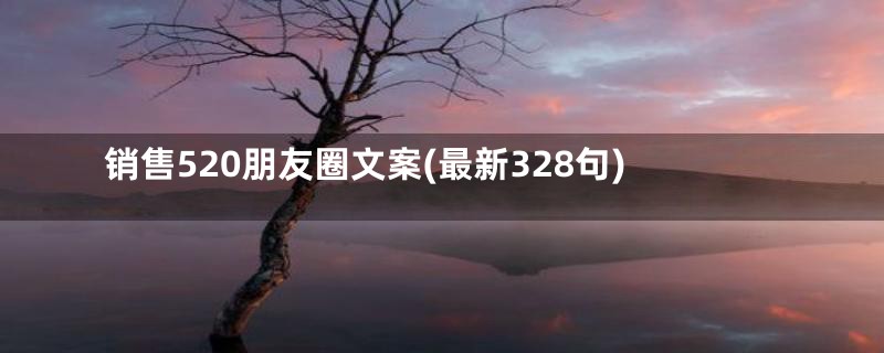 销售520朋友圈文案(最新328句)