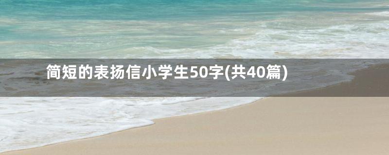 简短的表扬信小学生50字(共40篇)