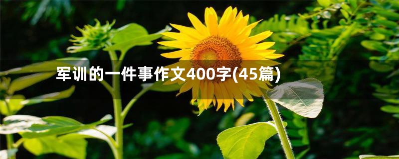 军训的一件事作文400字(45篇)