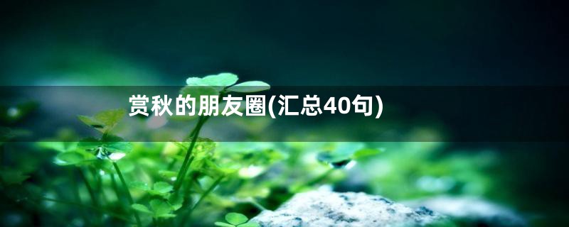 赏秋的朋友圈(汇总40句)