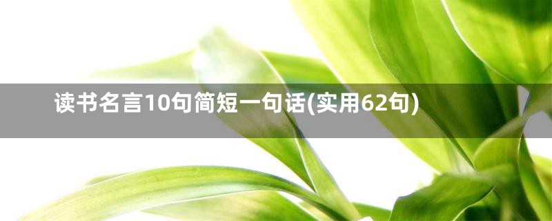 读书名言10句简短一句话(实用62句)