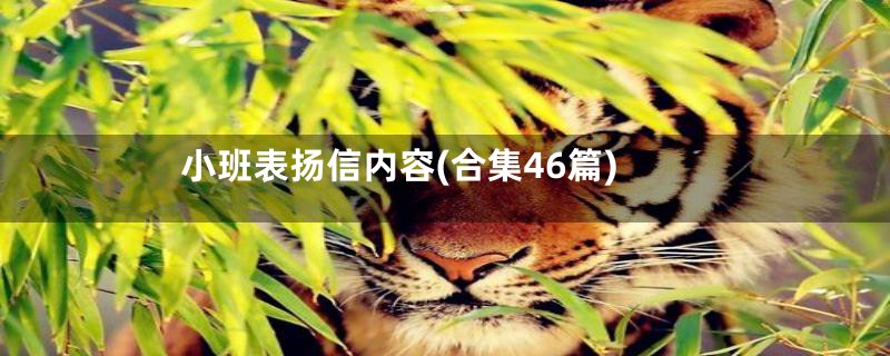 小班表扬信内容(合集46篇)