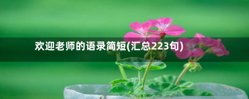 欢迎老师的语录简短(汇总223句)