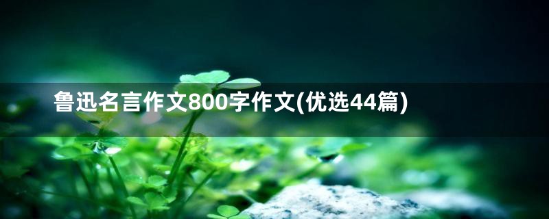 鲁迅名言作文800字作文(优选44篇)