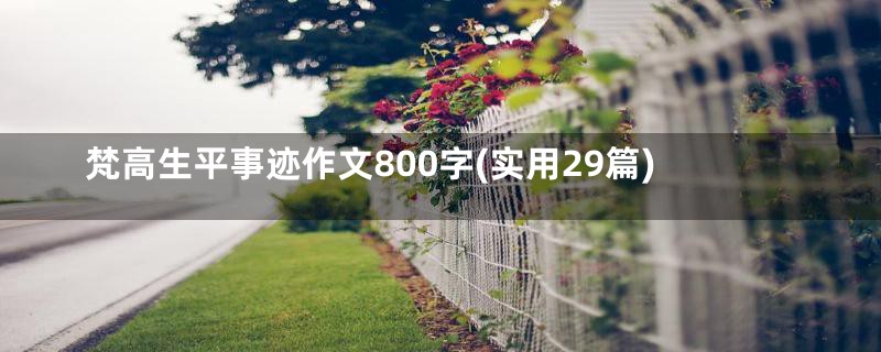 梵高生平事迹作文800字(实用29篇)