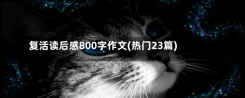 复活读后感800字作文(热门23篇)