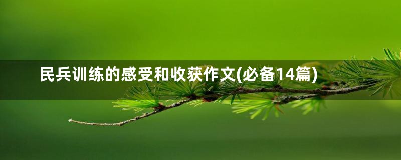 民兵训练的感受和收获作文(必备14篇)