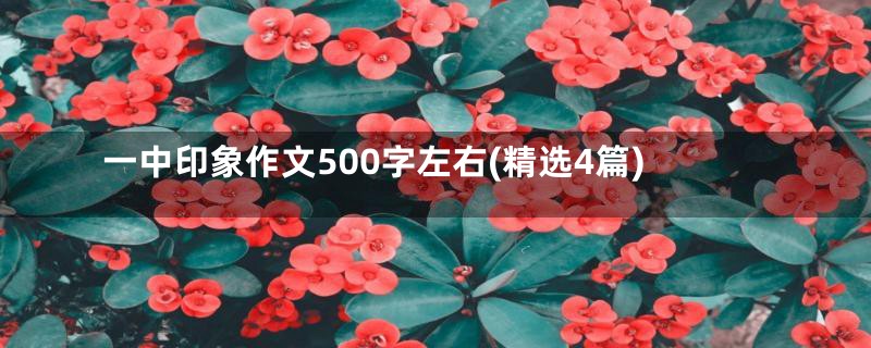 一中印象作文500字左右(精选4篇)