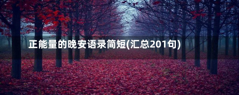 正能量的晚安语录简短(汇总201句)