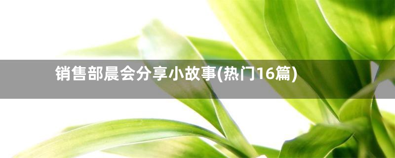 销售部晨会分享小故事(热门16篇)