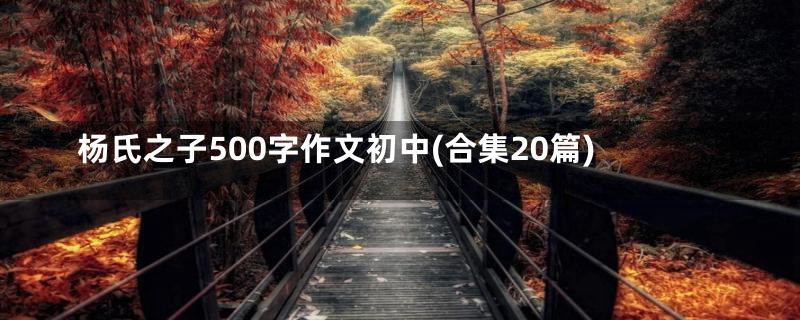 杨氏之子500字作文初中(合集20篇)