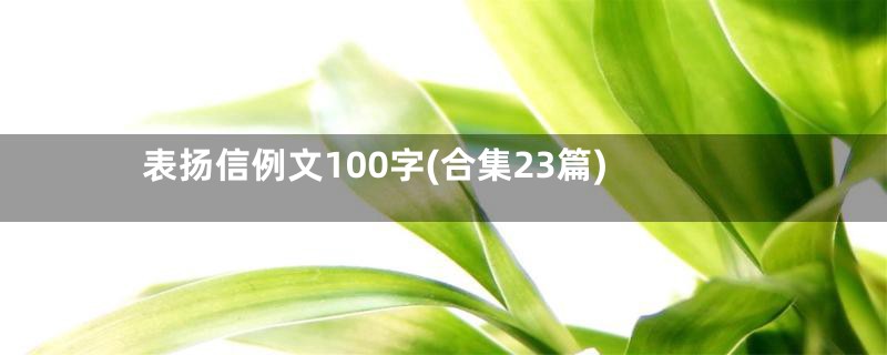 表扬信例文100字(合集23篇)