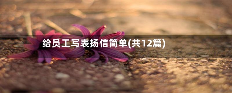 给员工写表扬信简单(共12篇)