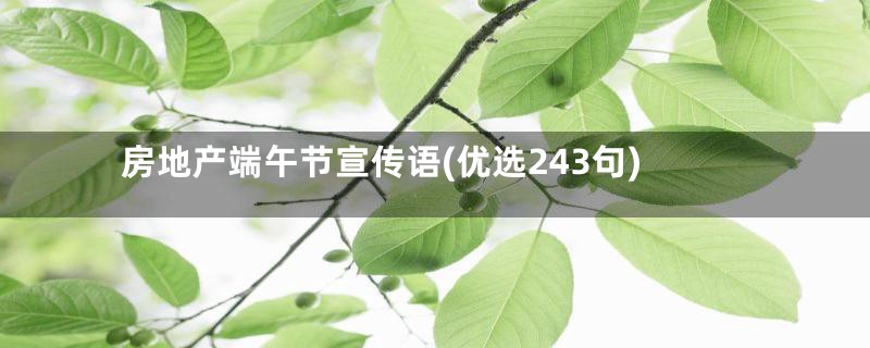 房地产端午节宣传语(优选243句)