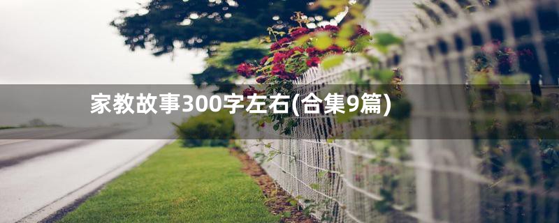 家教故事300字左右(合集9篇)