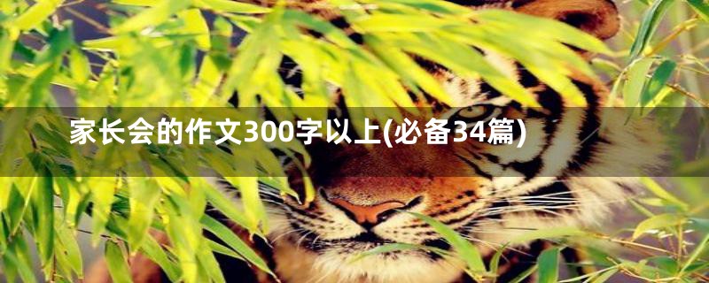 家长会的作文300字以上(必备34篇)