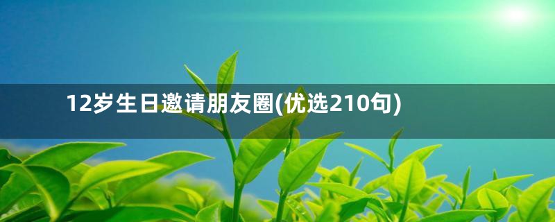 12岁生日邀请朋友圈(优选210句)