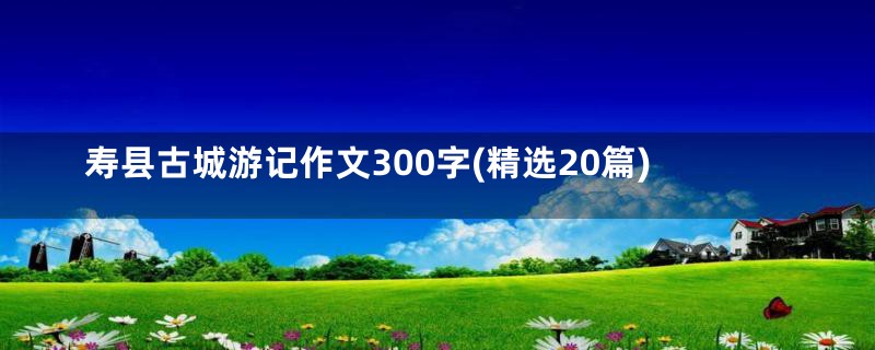 寿县古城游记作文300字(精选20篇)