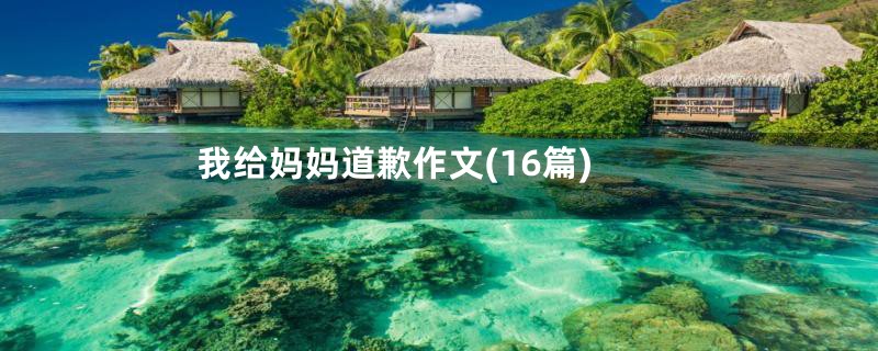 我给妈妈道歉作文(16篇)