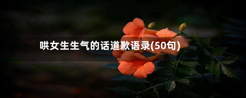 哄女生生气的话道歉语录(50句)