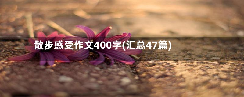 散步感受作文400字(汇总47篇)