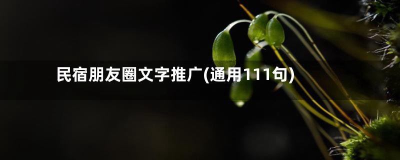 民宿朋友圈文字推广(通用111句)