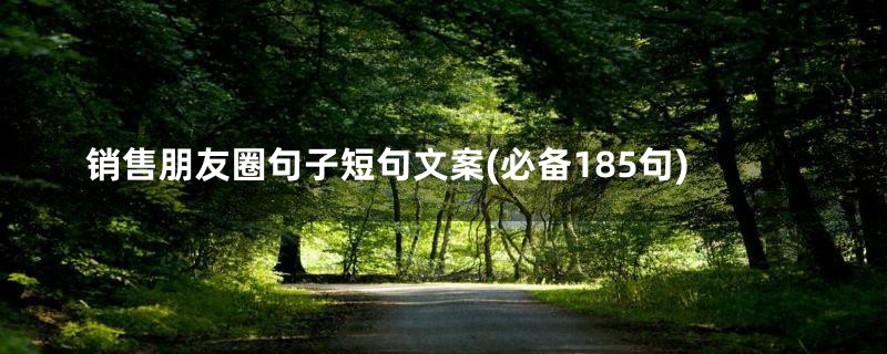 销售朋友圈句子短句文案(必备185句)