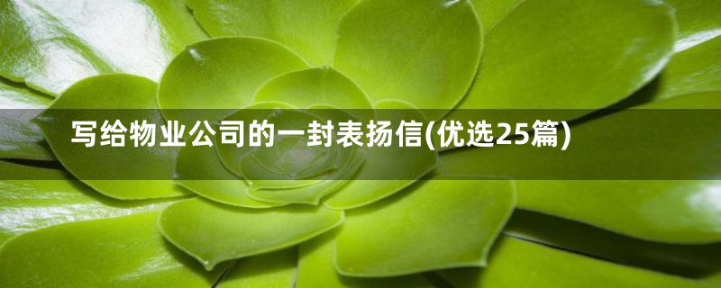 写给物业公司的一封表扬信(优选25篇)